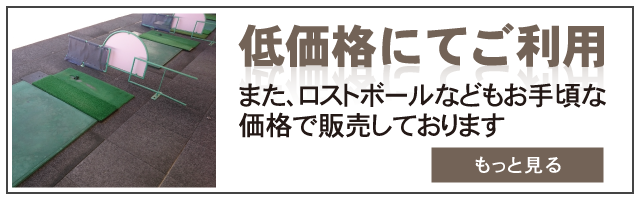 1球 低価格にてご利用頂けます。また、ロストボールなどもお手頃な価格で販売しております。